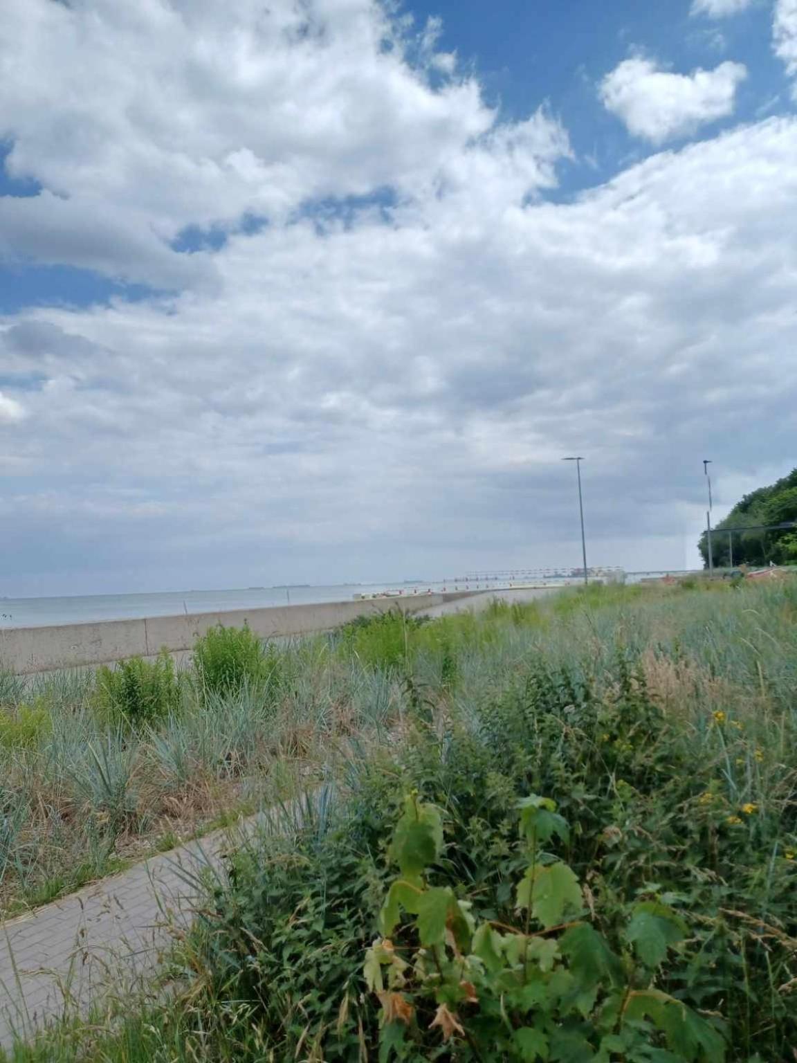 Domek Holenderski, Ogrod, Blisko Plazy, Gdynia Wakacje Na Luzie Exteriör bild